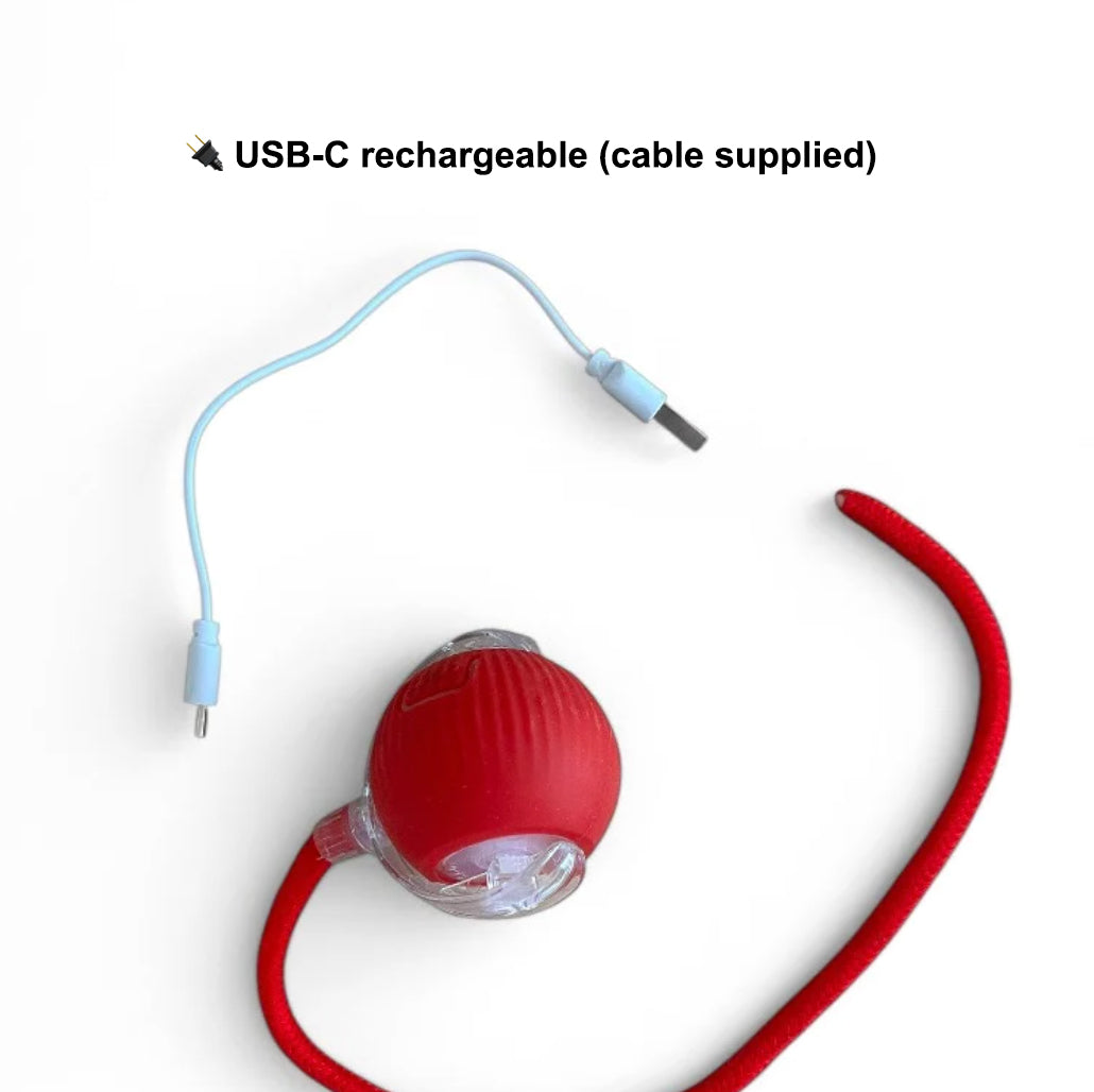 Magic Ball with Lights - Rechargeable, cat's favorite toy!